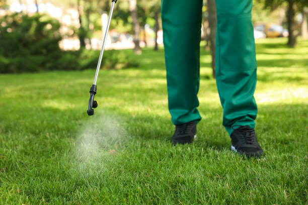 Best Termite Control Services  in Melbourne Beach, FL