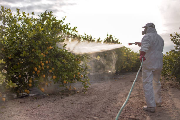 Pest Control for Restaurants in Melbourne Beach, FL