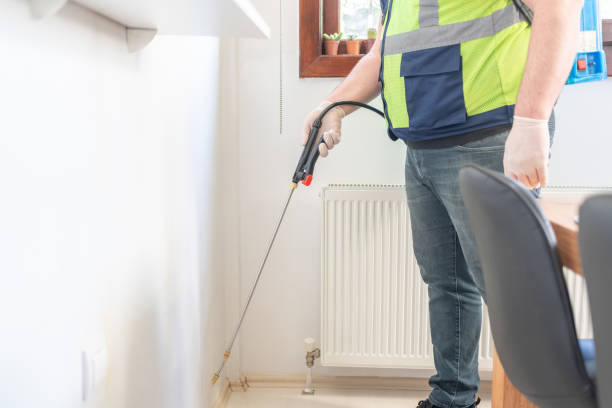 Best Termite Control Services  in Melbourne Beach, FL